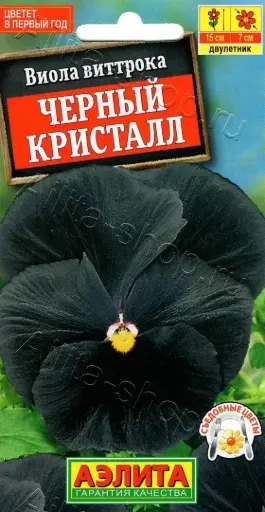 [29020102029] Виола Черный кристалл