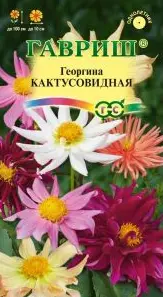[29020103163] Гавриш Георгина Кактусовидная