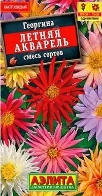 [29020103167] Георгина Летняя акварель,смесь сортов