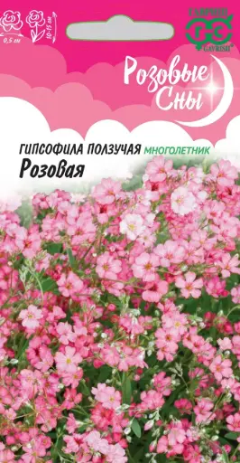 [29020101030] Гипсофила ползучая, Розовая