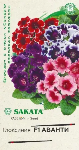 [290202025] Глоксиния Аванти F1 гранул