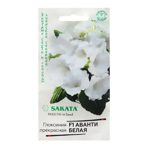 [290202026] Глоксиния Аванти белая F1 гранул