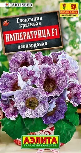 [29020101034] Глоксиния Императрица леопардовая F1