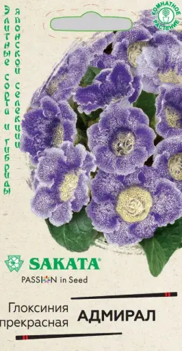 [290202027] Глоксиния Прекрасная Адмирал