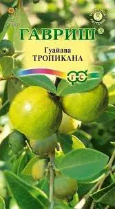 [290202030] Гуайава Тропикана 0,2 г