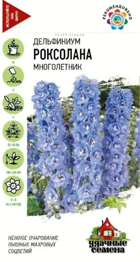 [29020101041] Дельфиниум Роксолана многолетник