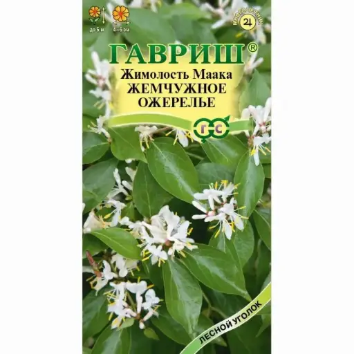 [29020101043] Жимолость Маака Жемчужное ожерелье 0,05 г Н23