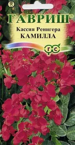 [290202033] Кассия Камилла, Ренигера