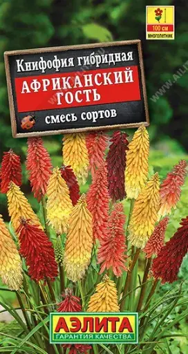 [29020101047] Книфофия Африканский гость, смесь сортов