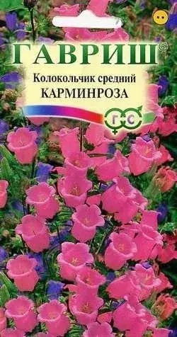 [29020101051] Колокольчик Средний  Кармин Роза