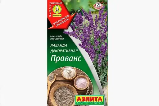 Лаванда декоративная Прованс