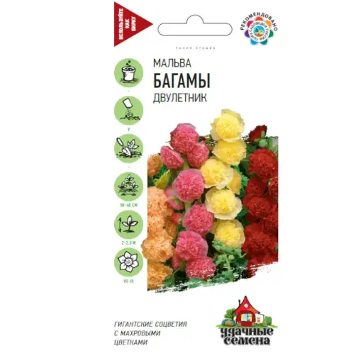 [29020102039] Мальва Багамы двулетник