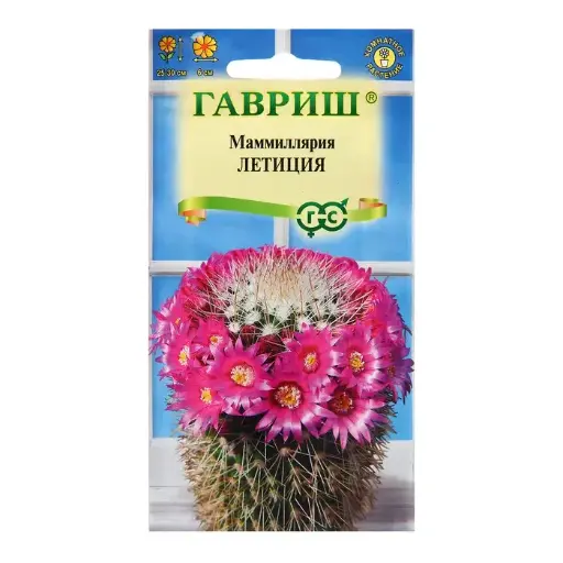 [290202041] Маммиллярия Бакеберга (Кактус) Летиция