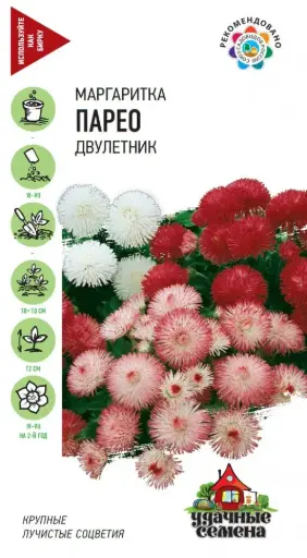 [29020102044] Маргаритка ПАРЕО двулетник