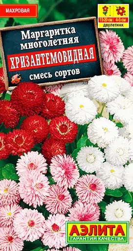 [29020102045] Маргаритка Хризантемовидна