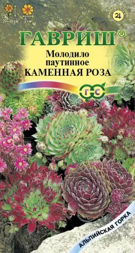 [29020101057] Молодило Каменная Роза* 0,01 г серия Альпийская горка
