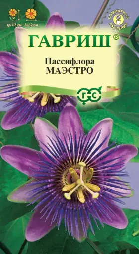 [290202044] Пассифлора Маэстро (съедобная)* 5 шт.