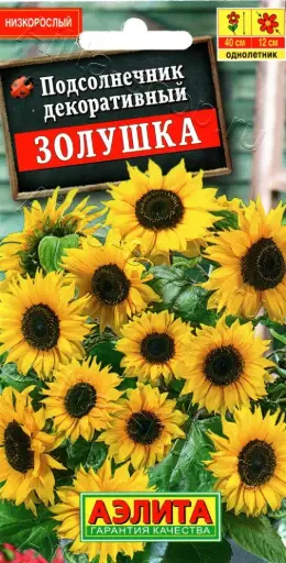 [29020103266] Подсолнечник Золушка