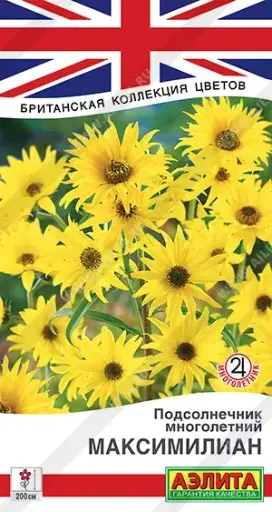 [29020101064] Подсолнечник многолетний Максимилиан