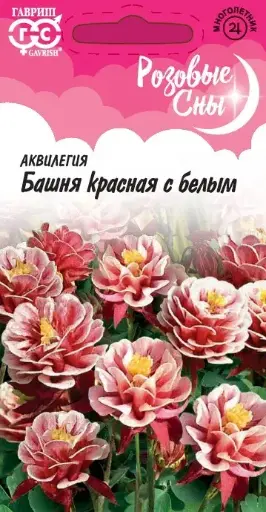 [29020101066] Розовые Сны аквилегия многолетник БАШНЯ КРАСНАЯ С БЕЛЫМ