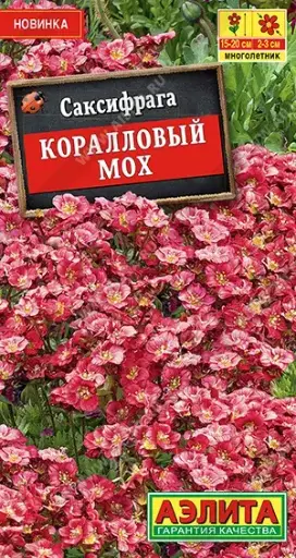 [29020101067] Саксифрага Коралловый мох