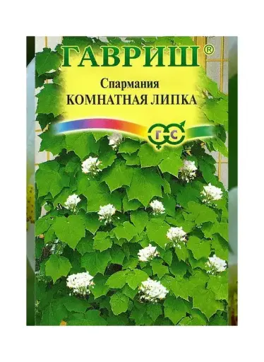 [290202048] Спармания африканская (комнатная) Липка