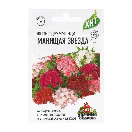 [29020101068] Флокс Манящая звезда, Друммонда