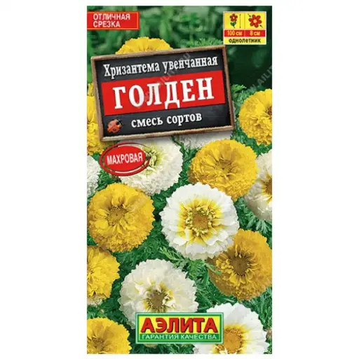 [29020101074] Хризантема Голден увенчанная