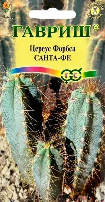 [290202054] Цереус Форбса (Кактус) Санта-Фе