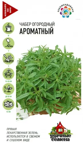 [3102013] Чабер Ароматный - Ганга