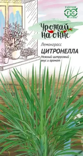 [260435004] Челнобородник  (Лимонная трава) Цитронелла