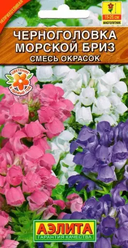 [29020101080] Черноголовка Морской бриз, смесь окрасок  Балт цэцэг 