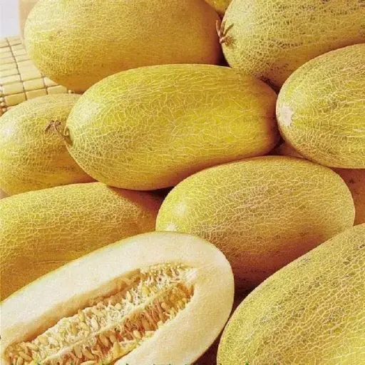 [260127001] Амтат гуа - Золотая торпеда Дыня