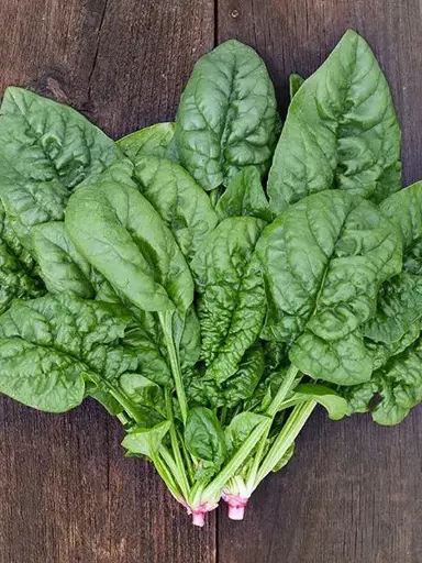 [260109004] Бууцай Америка кг