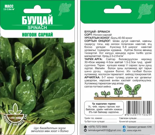 [260109005] Бууцай ногоон сарнай 