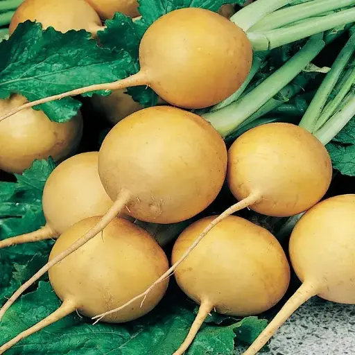 [260115001] Шар манжин Голден болл кг /468.150/