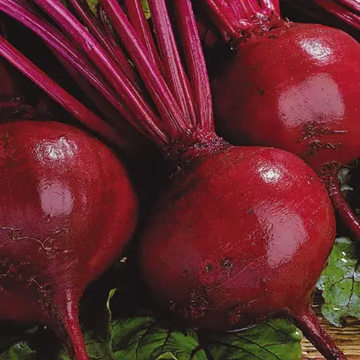 [260115002] Хүрэн манжингийн үр Бордо 237 /405.500/