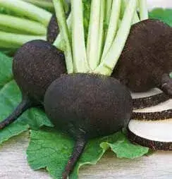 [260115003] Хар манжин Winter Murzynka /473.000/