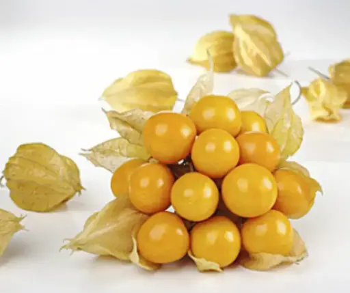 [260105002] Уутат помидор Физалис кондитер