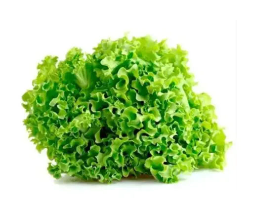 [260111005] Салат навч ногоон Бээжингийн их сургууль