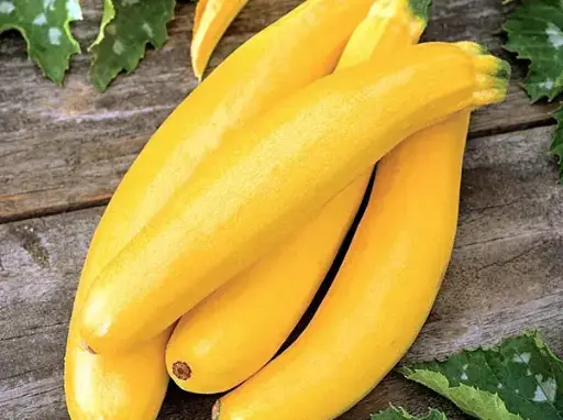 [260107006] Хурган гуа Bananovy Song /кг/