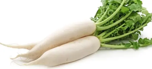 [260114002] Редис урт цагаан /471.580/