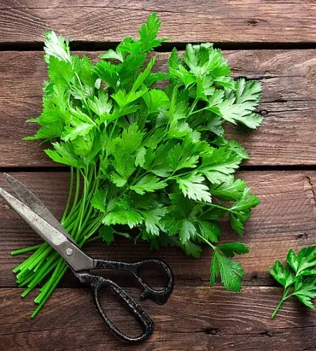 [260122002] Яншуй Commun 2