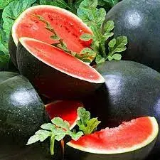 [260126003] Тарвас Арбуз шуга бэйби кг