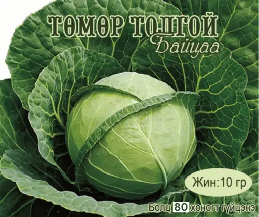 [260116010] Байцай Төмөр толгой 80 хоногтой