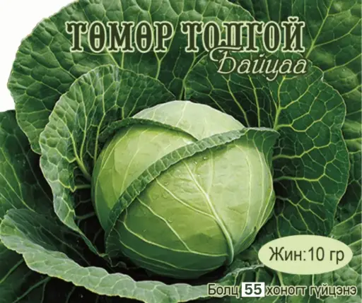 [260116011] Байцай Төмөр толгой 55 хоногтой