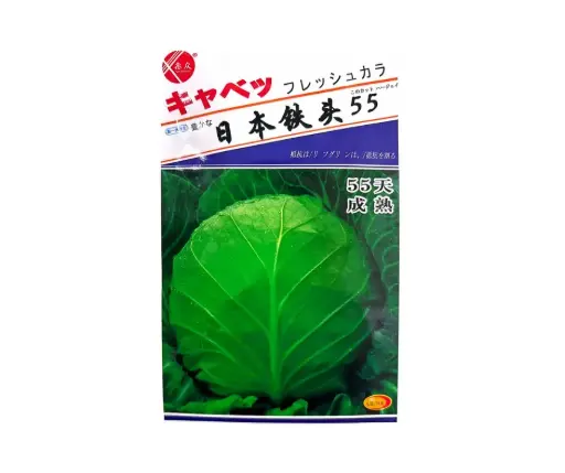 [260116016] Төмөр Толгой - Бөөрөнхий байцай 55 хоногтой /Япон/