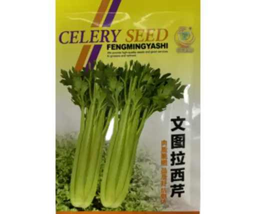 [2602002] Цоохор майлз Celery seed