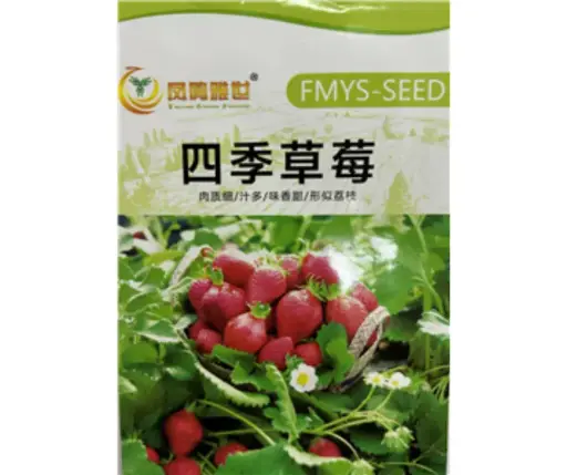 [260433001] Гүзээлзгэнэ 500ш