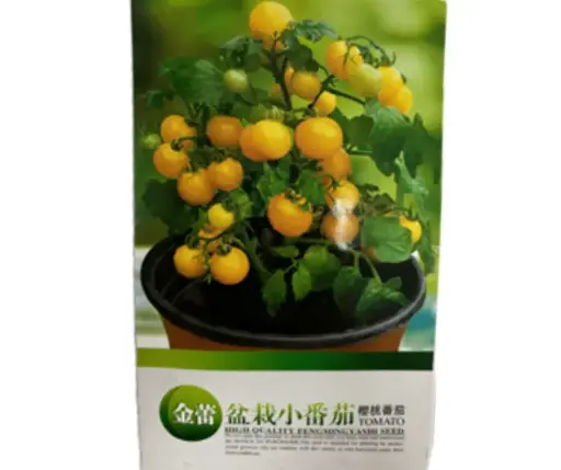 [260406001] Тасалгааны шар лооль 1 гр